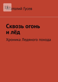 Сквозь огонь и лёд. Хроника Ледяного похода