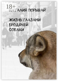 Жизнь глазами бродячей собаки