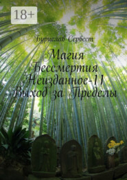 Магия бессмертия. Неизданное-11. Выход за пределы