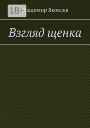 Взгляд щенка