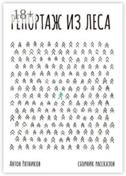 Репортаж из леса