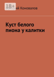 Куст белого пиона у калитки
