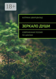 Зеркало души. Современная поэзия по циклам