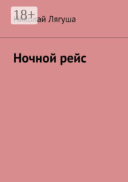 Ночной рейс