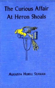 The Curious Affair at Heron Shoals