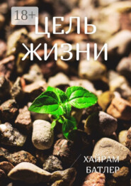 Цель жизни