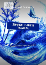 Зимние байки Толяна. Правдивые истории из жизни