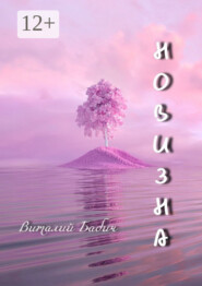 Новизна. Сборник стихотворений