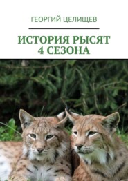 История рысят. 4 сезона