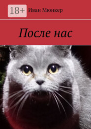 После нас