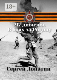 217 дивизия. В боях за Родину