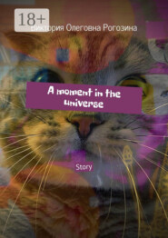 A moment in the universe. Story
