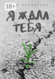 Я ждал тебя…