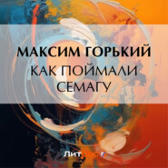 Как поймали Семагу