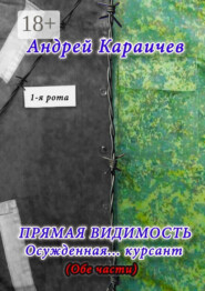 Прямая видимость. Осужденная… курсант