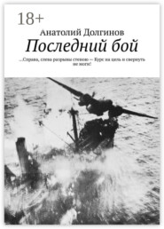 Последний бой. … Справа, слева разрывы стеною – Курс на цель и свернуть не моги!