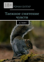 Таежное смятение чувств. III. Полет
