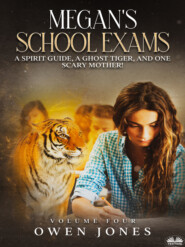 Megan's School Exams