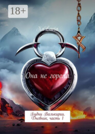 Она не горела. Будни Валькирии. Дневник, часть 1