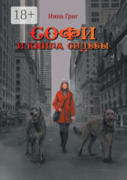 Софи и Книга судьбы