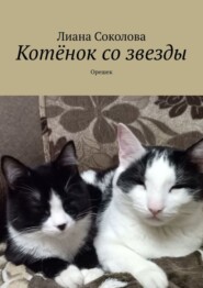 Котёнок со звезды. Орешек