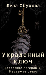 Украденный ключ