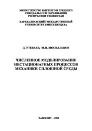 Численное моделирование нестационарных процессов механики сплошной среды
