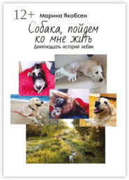 Собака, пойдем ко мне жить. Девятнадцать историй любви