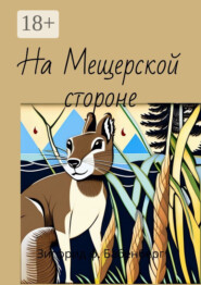 На Мещёрской стороне