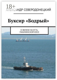 Буксир «Бодрый». О жизни на Усть-Пахачинской косе
