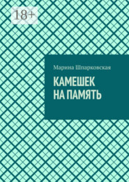 Камешек на память