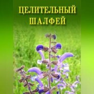 Целительный шалфей