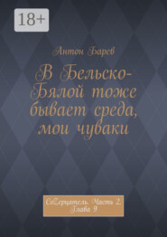 В Бельско-Бялой тоже бывает среда, мои чуваки. СоZерцатель. Часть 2. Глава 9