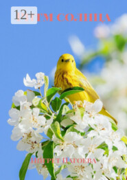 Ритм солнца