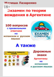 Экзамен по теории вождения в Аргентине