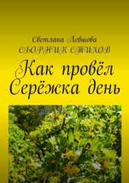 Как провёл Серёжка день