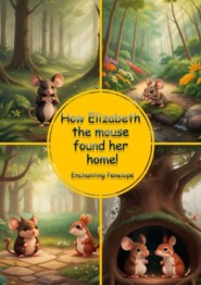 How Elizabeth the mouse found her home!