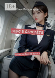 Секс в самолёте. Тайны любви на высоте