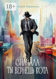 Сначала ты вернешь кота. Сборник рассказов