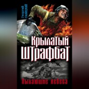 Крылатый штрафбат. Пылающие небеса (сборник)