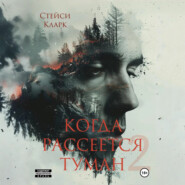 Когда рассеется туман. Книга 2