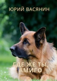 Где же ты, Амиго?