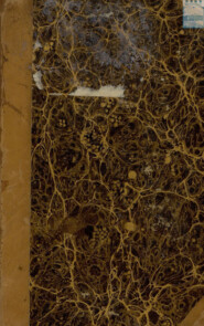 Книга морская показующая правдивое мореплавание на Балтийском море. курсы, знание берегов положения мест и фарватера, мели песочныя и каменныя, и пороги. Аккуратная верная и исправленная карта морская