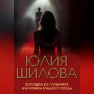 Золушка из глубинки, или Хозяйка большого города