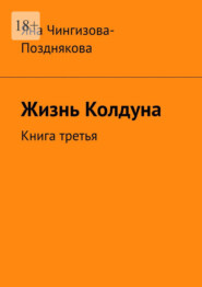 Жизнь Колдуна. Книга третья