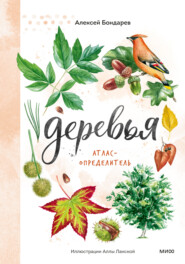 Деревья. Атлас-определитель