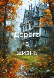 Дорога в жизнь