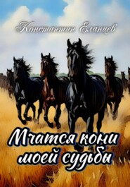 Мчатся кони моей судьбы