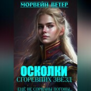 Осколки сгоревших звёзд. Книга 2. Ещё не сорваны погоны…