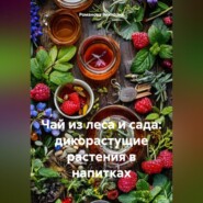 Чай из леса и сада: дикорастущие растения в напитках
